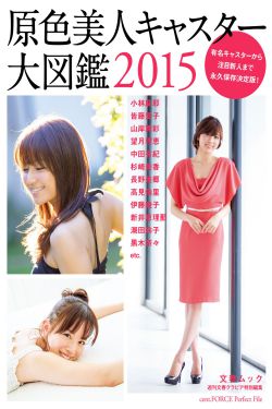 一仆二主电视剧全集